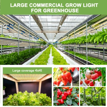 Commercial greenhouse led grow lights best sale